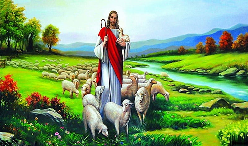 The Lord is smy shepherd, christ, sheep, jesus, bible, shepherd, HD wallpaper