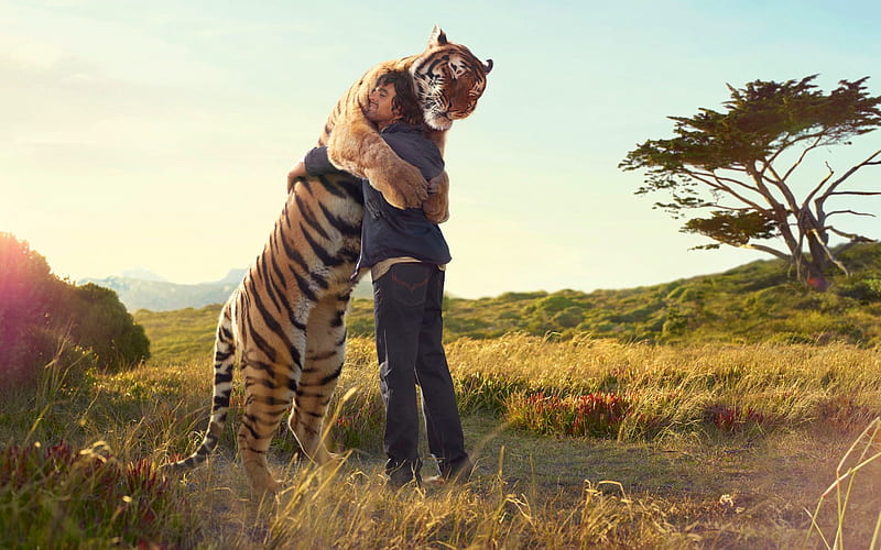 My Friend Tiger friend, grass, tiger, clouds, beasts, foliage, amity, nice, stones, friendship, affection, , man, sky, trees, hug, cool, men, awesome, prairie, cats, savannah, beautiful grasslands, graphy, leaves, people, animals amazing, view, india, asia, plain, veld, leaf, boy, plants, HD wallpaper