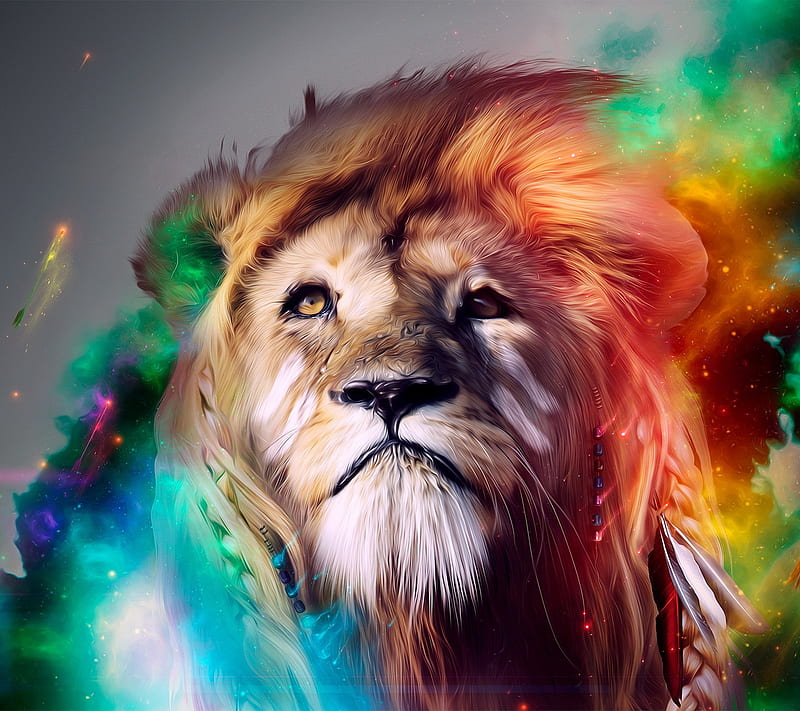 Beautiful Lion, black, color, cool, lions, HD wallpaper