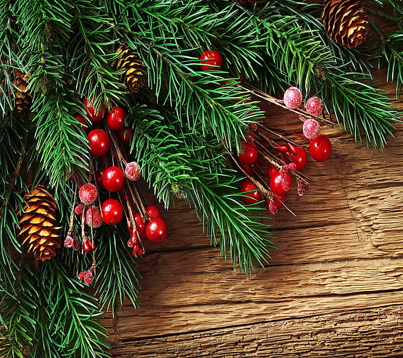 Christmas Decoration, berry, fir-tree, wood, HD wallpaper | Peakpx