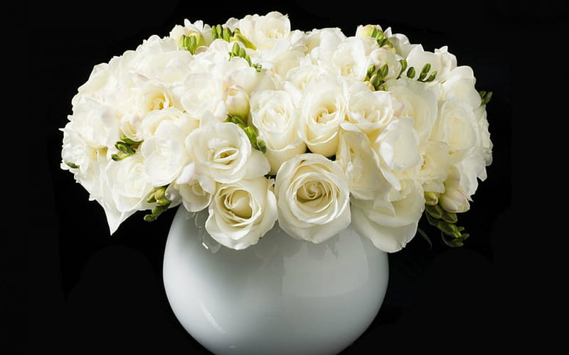 Rosas blancas, florero, flores, rosas, blanco, Fondo de pantalla HD | Peakpx