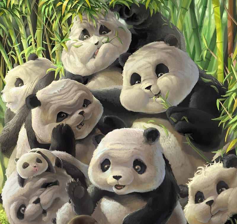 Free Download Chubby Pandas Cute Black Bears White Chubby Hd Wallpaper Peakpx