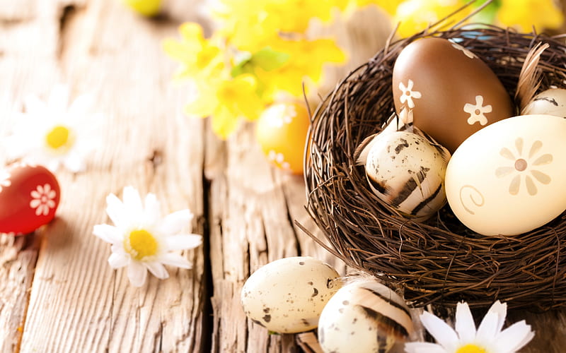 Easter eggs, nest, spring, Easter background, chamomile, Easter, HD wallpaper