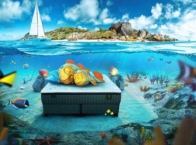underwater, fishes, bed, tropical island, mattress, Nature, HD wallpaper