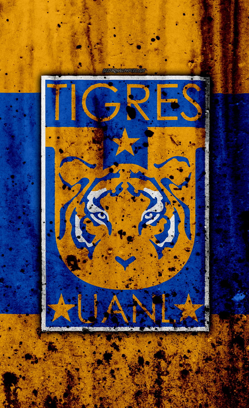 Tigres UANL, incomparables, HD mobile wallpaper | Peakpx