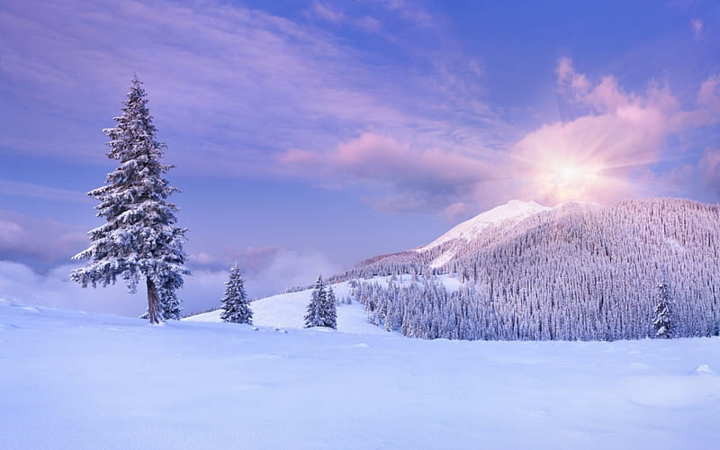 morning winter landscape, mountain, sunrise, foothills, trees, winter, HD wallpaper