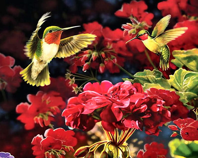 Ruby Geraniums - Hummingbird FC, geraniums, art, hummingbirds, bonito, fowers, illustration, artwork, animal, bird, avian, painting, wide screen, wildlife, nature, HD wallpaper
