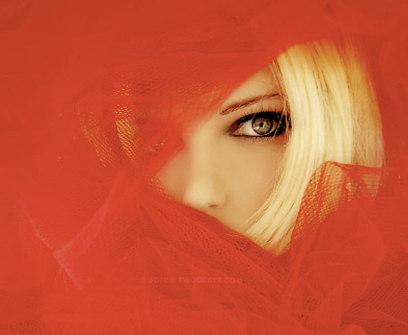 Red Enveloped, red, veil, veiled, chiffon, silk, HD wallpaper