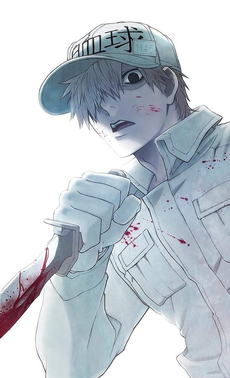 Pin de ᴍ ᴏ ᴄ ʜ ɪ em Hataraku Saibou  Personagens de anime, Anime kawaii,  Animes wallpapers