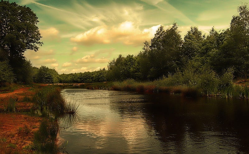 Netherlands Landscape Lovely Sky, forest, greenish, nature, river, reflection, trees, clouds, sky, HD wallpaper