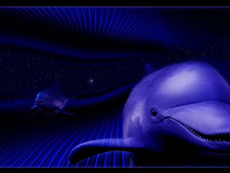 Blue dolphin, dolphin, 3d, abstract, animals, blue, HD wallpaper | Peakpx
