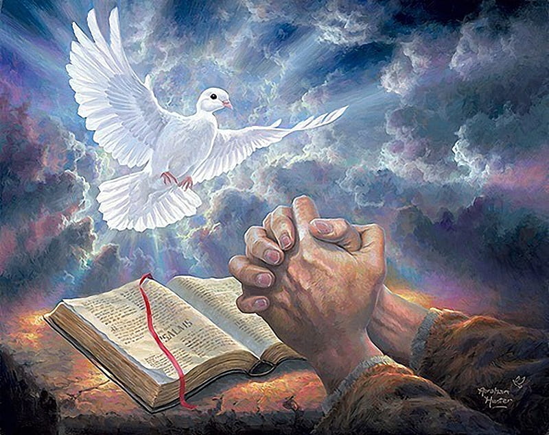 Answered Prayer, hands, religious, painting, book, dove, light, artwork, HD  wallpaper | Peakpx