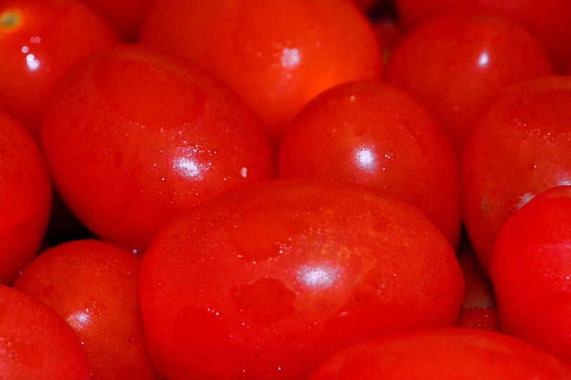 Red Tomatoes, tomatoes, little tomatoes, grape tomatoes, HD wallpaper