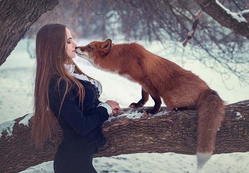 Fox With Girl Depth Of Field, fox, girl, model, animals, depth-of-field, HD wallpaper