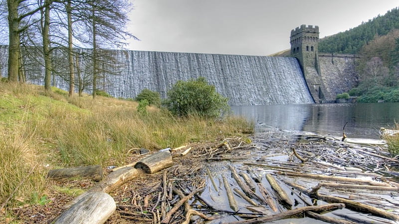 falls over reservoir damn, reservoir, logs, trees, damn, lake, falls, HD wallpaper