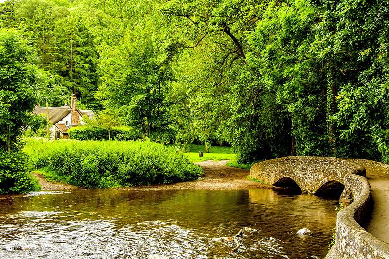 DUNSTER VILLAGE Somerset England, forest, Somerset, bridge, river, Dunster Village, United Kingdom, HD wallpaper