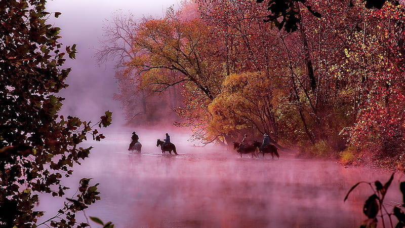 INTO the WOOD, nature, people, horses, fog, wild, HD wallpaper