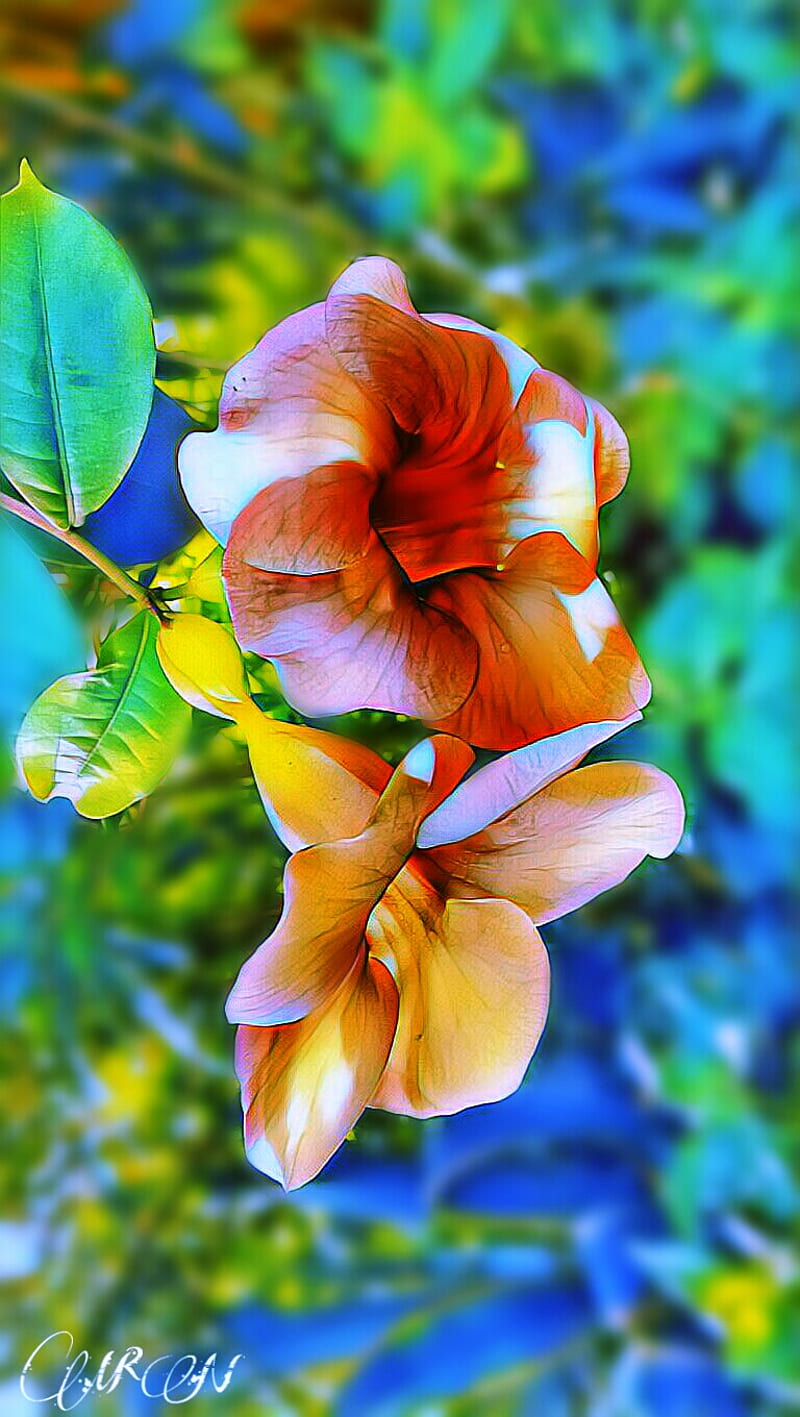 Flower blur, nature, green, edit, HD phone wallpaper