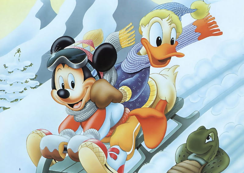 Mickey and Donald, orange, donald duck, yellow, mickey mouse, winter, snow, sledge, disney, blue, HD wallpaper
