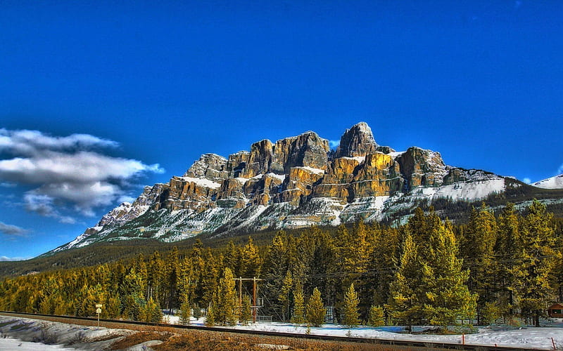 Castle Mountain, winter, forest, Alberta, Canada, HD wallpaper