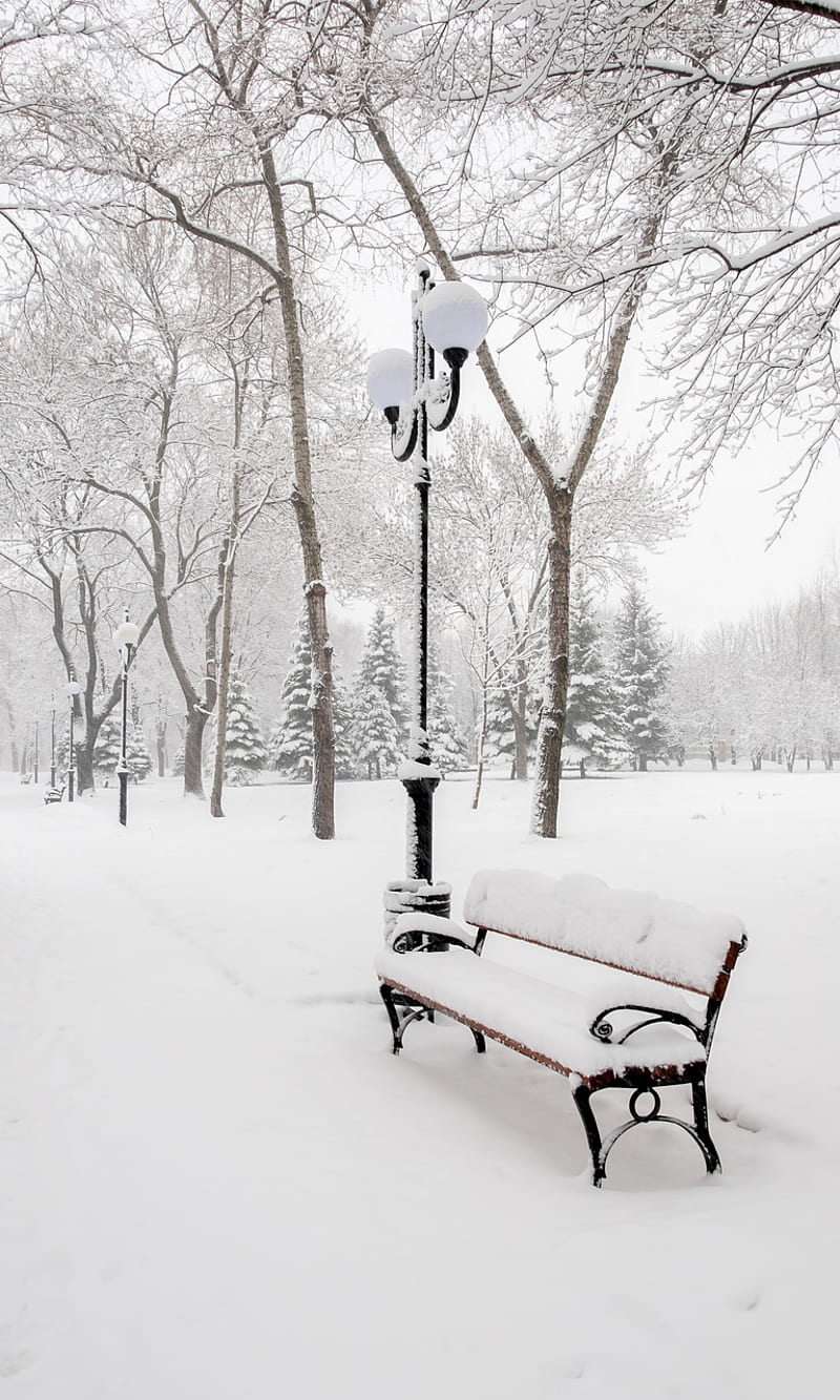 Winter Park, bench, landscape, park trees, snow winter, HD phone wallpaper