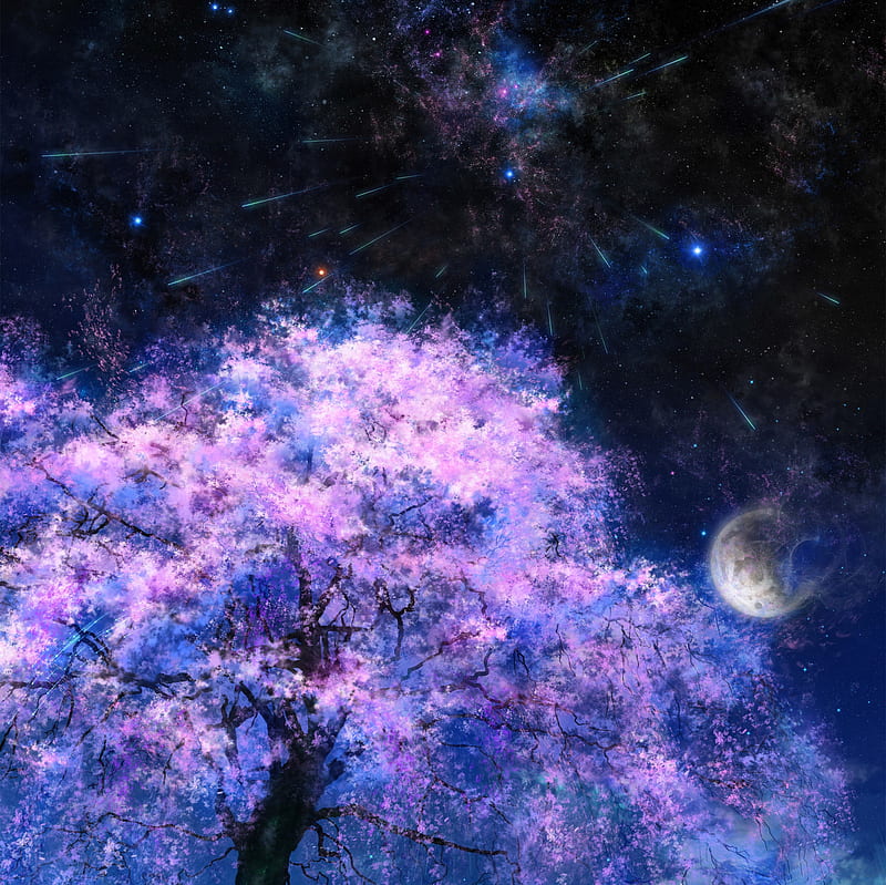 Night Sakura, sakura, moon, shooting stars, sky, night, HD wallpaper