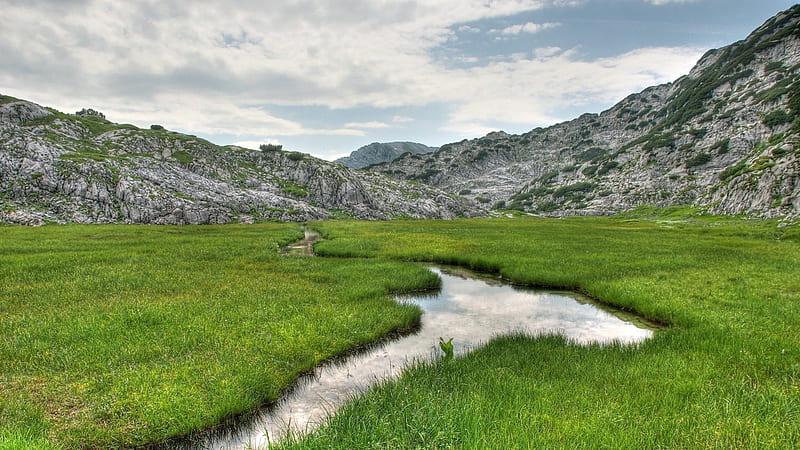 stream in a grass meadow, stream, rocks, grass, mountains, meadow, HD wallpaper