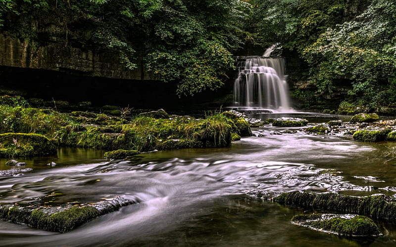 West Burton Falls, North Yorkshire, England, Forest, Waterfall, Burton, Nature, England, HD wallpaper