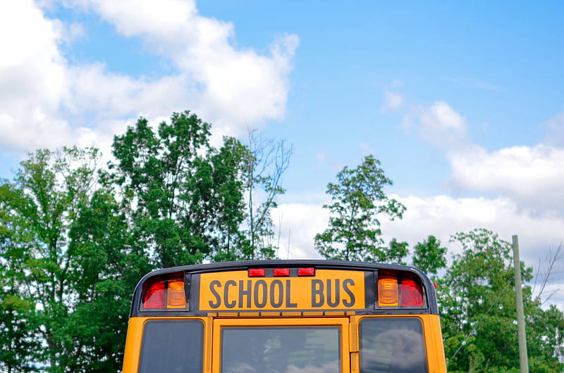 school bus near green trees under cloudy sky during daytime, HD wallpaper