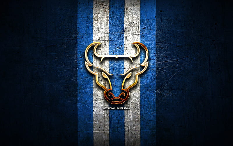 Buffalo Bulls, golden logo, NCAA, blue metal background, american football club, Buffalo Bulls logo, american football, USA, HD wallpaper
