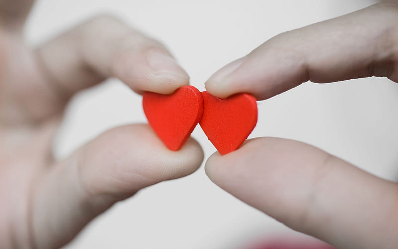 red hearts in hands, love concepts, paper red hearts, romance, two hearts, HD wallpaper