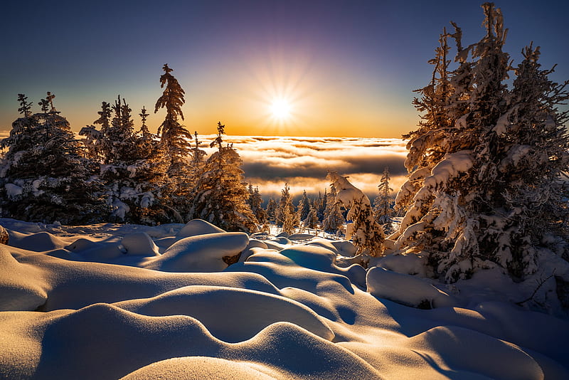 Earth, Winter, Horizon, Landscape, Nature, Snow, Sun, Sunbeam, HD wallpaper