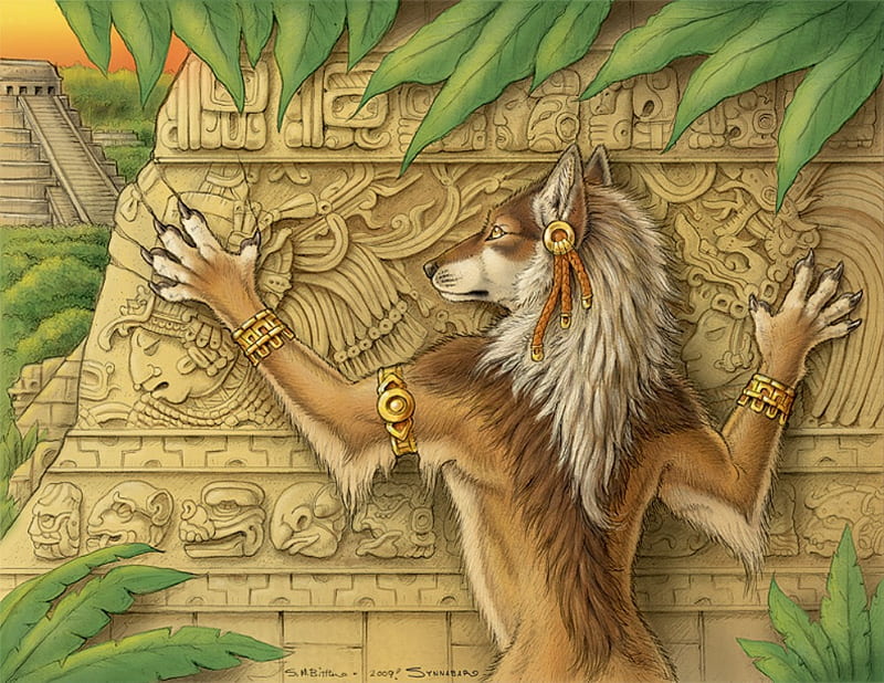 a sacred werewolf, wolf, wolves, golden, HD wallpaper