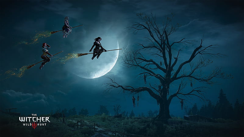 Witches, luminos, the witcher, halloween, blue, night, witch, moon, silhouette, up, moon, fantasy, HD wallpaper