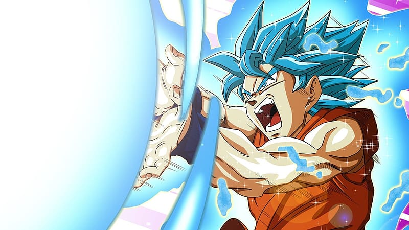 Dragon Ball Star Sean Schemmel Opens Up About Leading The World's Largest  Kamehameha
