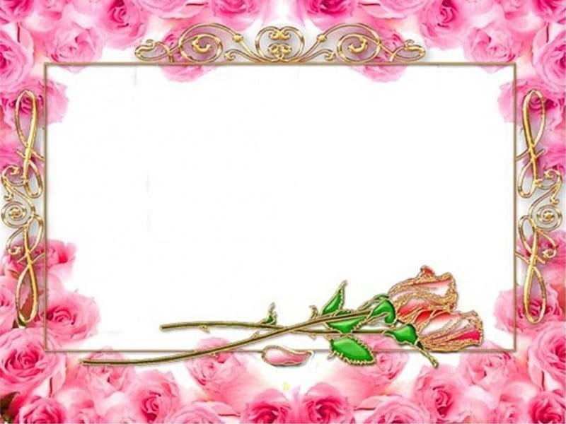 Gold Rose Frame, pink rose border, gold tone roses, gold edging, HD wallpaper