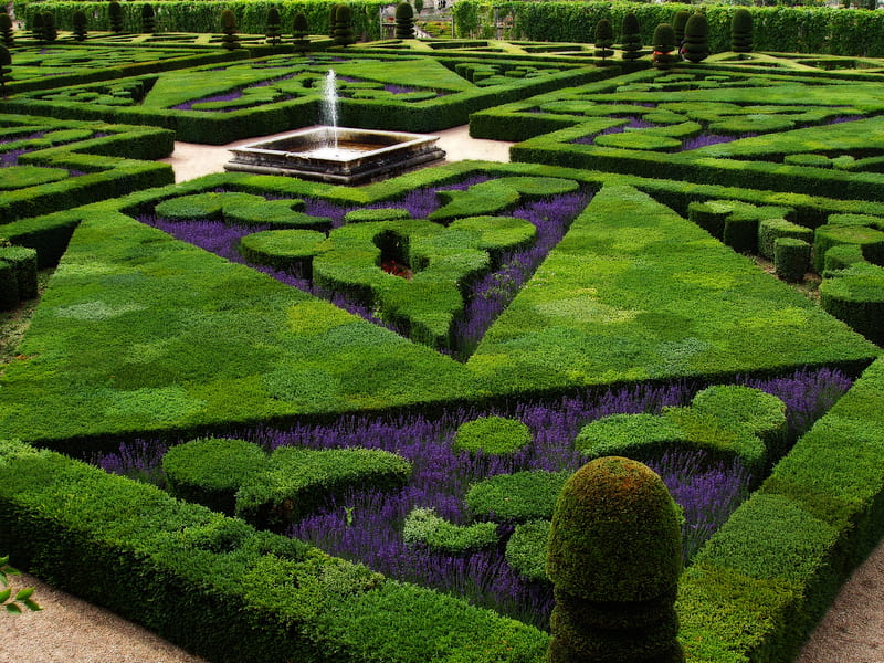 French formal Garden in Loire Valley, shapes, fountain, aristocratic, bonito, forms, trees, water, green, purple, garden flowers chimshir, HD wallpaper