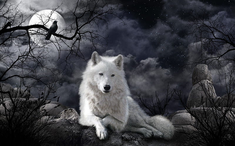 wolf . Fantasy wolf, Wolf spirit animal, White wolf, Moon and White Wolf, HD wallpaper