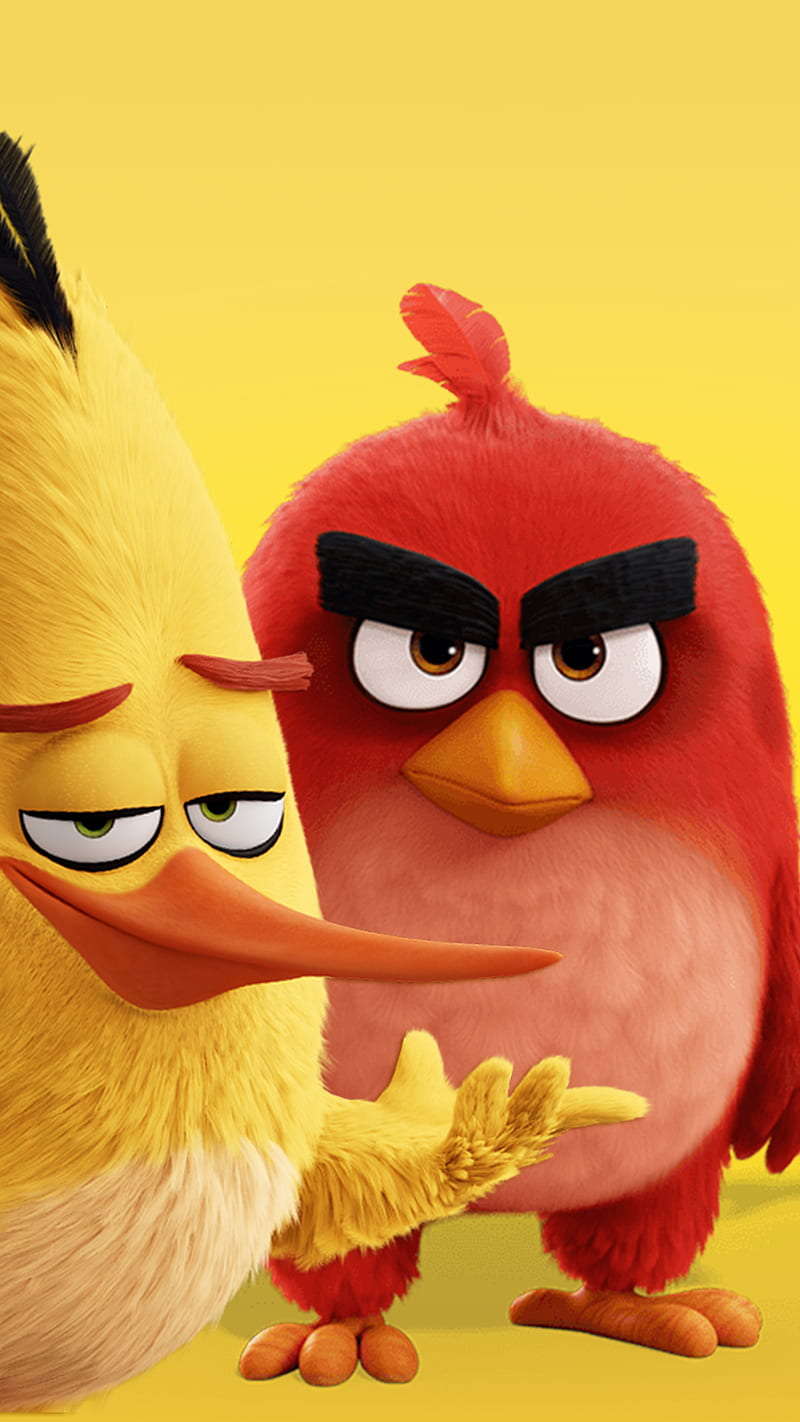Angry bird 2, 2019, burung, film baru, wallpaper ponsel HD | piksel puncak