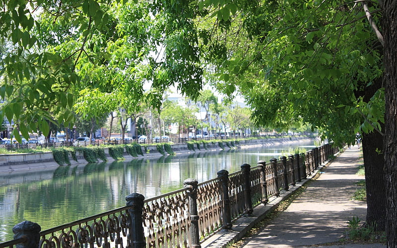 Promenade in Bucharest, Romania, trees, Bucharest, Romania, promenade, water, HD wallpaper