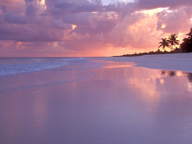 Pink Coast of Cancun,Mexico, nature, reflection, trees, clouds, pink, coast, sea, HD wallpaper