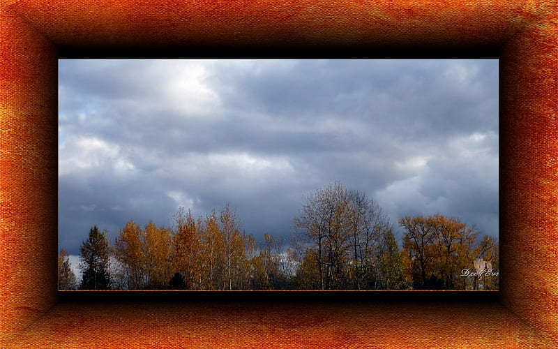 Ominous Sky, fall, , autumn, washington, colors, framed, trees, clouds, HD wallpaper