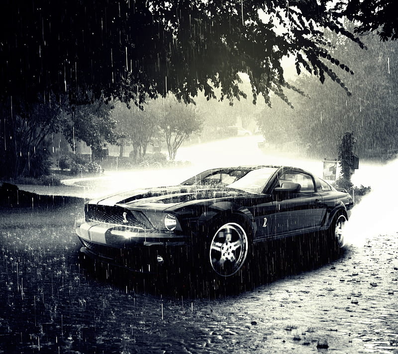 Ford Mustang In Rain   Photo