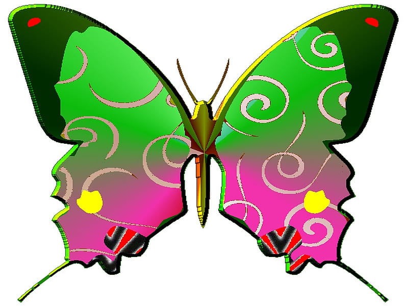Pcologist bf01, butterfly, decorative, colouredbfly, enjoyment, HD wallpaper