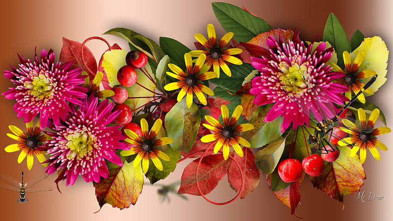 Autumn Special, fall, autumn, dragonflies, brown eyed susans, summer, flowers, dahlia, floral, Firefox theme, HD wallpaper