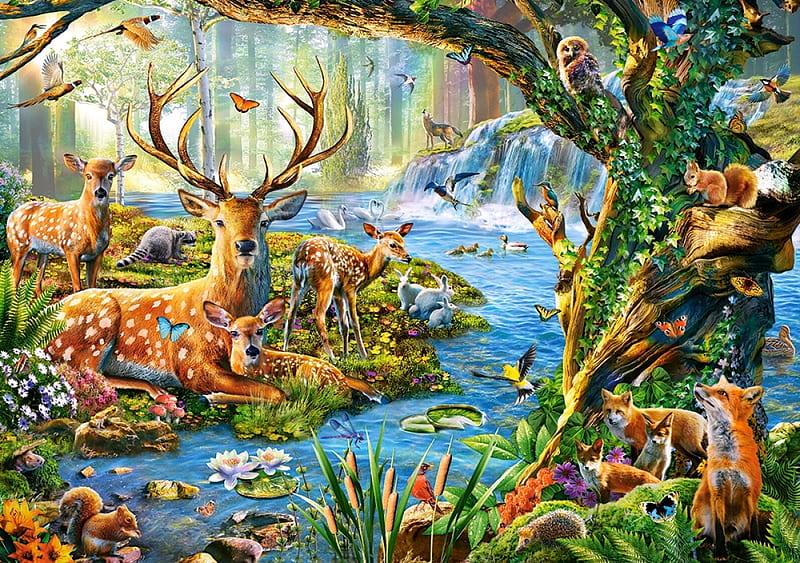 Forest Life, fawn, squirrel, birds, creek, trees, artwork, deer ...