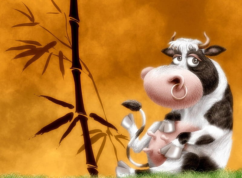 Vaca tonta, negro, gracioso, vaca, blanco, Fondo de pantalla HD | Peakpx