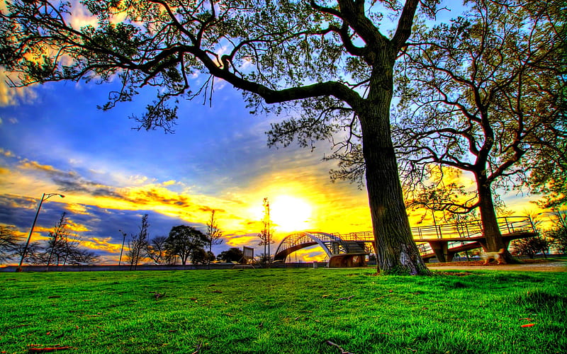 BEAUTIFUL MORNING VIEW, bridge, grass, sunshine, trees, sky, field, HD  wallpaper | Peakpx