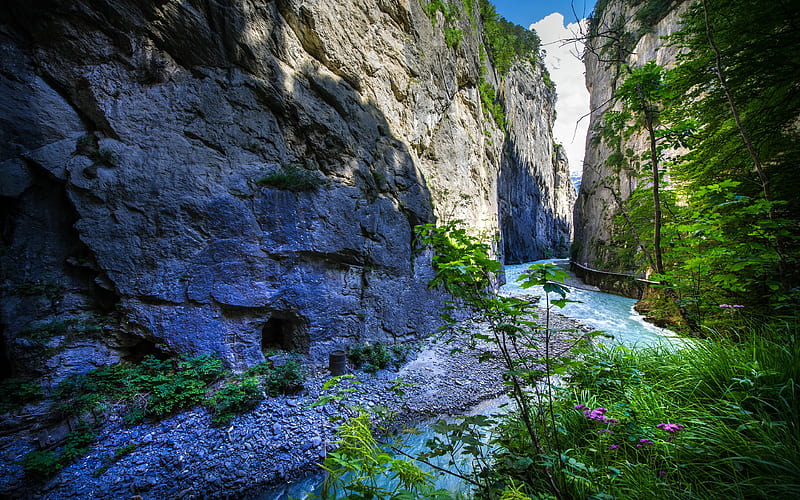 Switzerland mountain river, canyon, cliffs, Bern, Swiss Alps, Europe, HD wallpaper