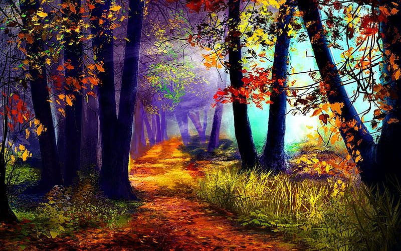 Colorful forest, forest, colorful, quiet, autumn, lovely, sunlight, woods, bonito, trees, leaves, nice, rays, pathway, path, nature, sunshine, HD wallpaper